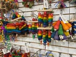 Colorful pet toys displayed on a wall rack, featuring rainbow designs and various shapes, showcasing options for enriching animal playtime.