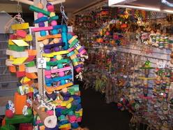 Colorful assortment of handmade bird toys displayed in a shop, showcasing various shapes and textures for pet enrichment. Ideal for avian enthusiasts.