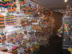 Colorful pet toys displayed on wall-mounted racks in a store, showcasing a vibrant selection for pet owners. Ideal for enhancing pet entertainment.