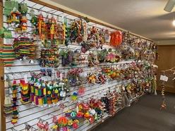Colorful bird toys and accessories displayed on pegboards in a store, showcasing a variety of shapes and textures for pet enrichment.