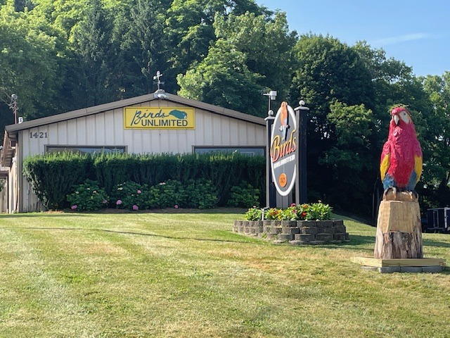 Birds Unlimited storefront featuring a colorful parrot statue and a prominent sign. Lush greenery surrounds the building, enhancing its inviting appearance.